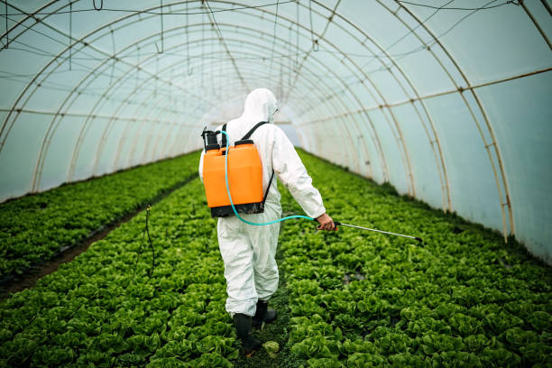 Pest Prevention Services in Fairfax, CA
