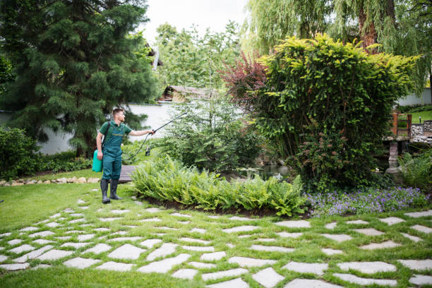 Best Pest Control Near Me in Fairfax, CA