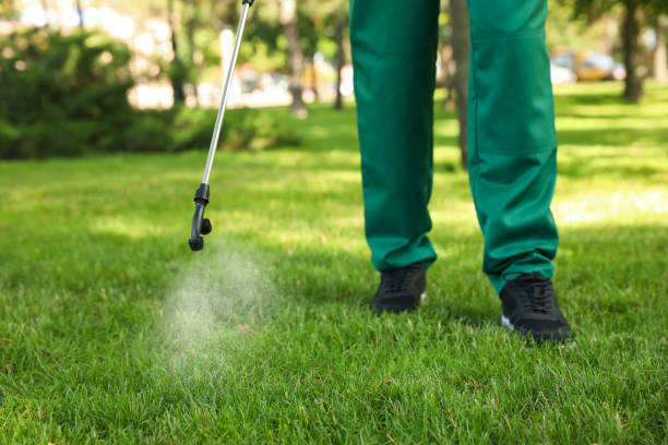 Best Termite Control Services  in Fairfax, CA