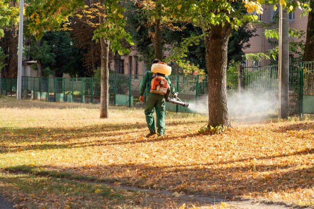 Best Exterminator Services  in Fairfax, CA